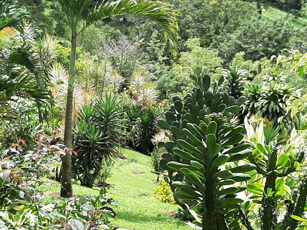 Marita'S Bed And Breakfast Nuevo Arenal Exteriér fotografie