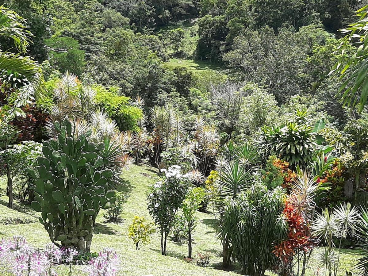 Marita'S Bed And Breakfast Nuevo Arenal Exteriér fotografie