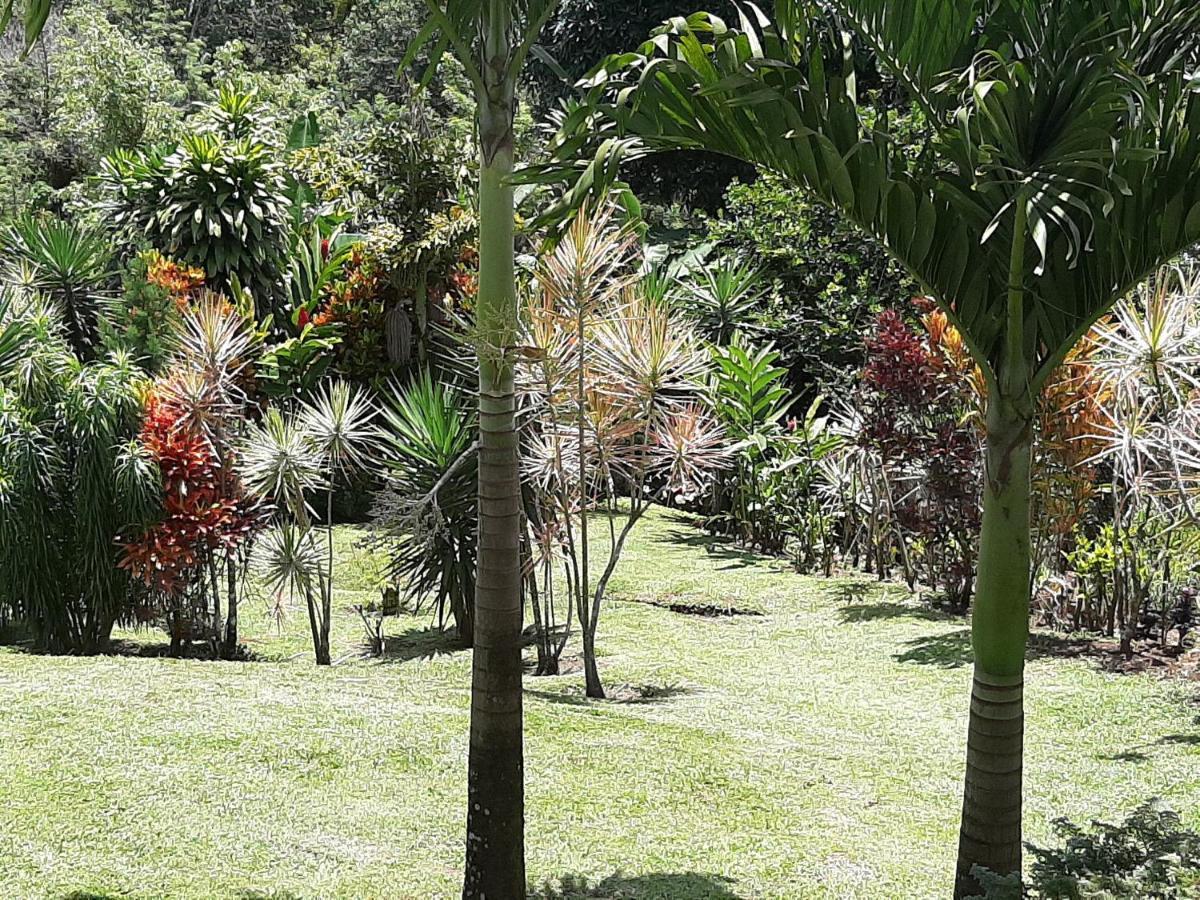 Marita'S Bed And Breakfast Nuevo Arenal Exteriér fotografie