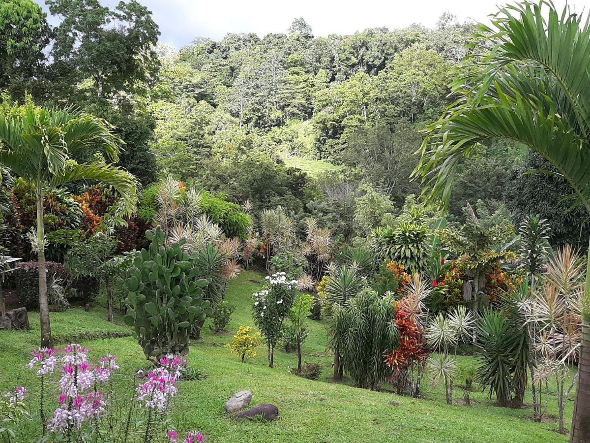 Marita'S Bed And Breakfast Nuevo Arenal Exteriér fotografie